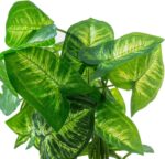 MyGift Set of 3 Fake Plants, Small Artificial Potted Plants Indoor in Clear Glas... - Image 6