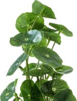 MyGift Set of 3 Fake Plants, Small Artificial Potted Plants Indoor in Clear Glas... - Image 7