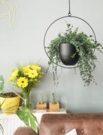 Hanging Planter for Indoor Outdoor Plants Metal Mid Century Minimalist Wall Ceil... - Image 5
