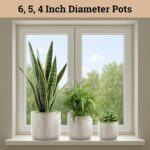 Ceramic Pots for Plants Set of 3 Sizes - 6, 5, 4 Inch Diameter Plant Pots with D... - Image 4