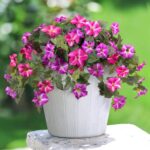 Artificial Fake Flowers Plants for Outdoor Decoration, 2PCS Faux Petunias Silk F... - Image 7