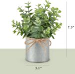 Mkono 2 Packs Small Fake Plants in Farmhouse Galvanized Pots Table Centerpiece M... - Image 5