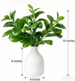 16" Artificial Peperomia in White Ceramic Bud Vase Lifelike Two-Tone Green Leave... - Image 3