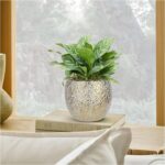 Ceramic Plant Pots for Plants Indoor 5.3 Inch Round Gold and White Flower Pot Gi... - Image 5