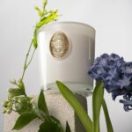 M&SENSE Vanilla Dream Soy Candle, 9.2 oz, 50-Hour Burn Time, Luxury Scented Cand... - Image 7