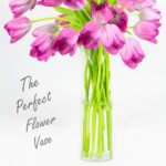 CYS EXCEL Cylinder Clear Glass Vase (H:20" D:6") | Multiple Size Choices Glass F... - Image 4
