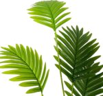 Tall Faux Palm Tree Realistic Potted Silk Artificial Plants Indoor with Pot Floo... - Image 6