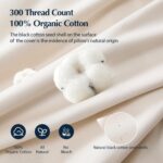 Pacific Coast Goose Feather and Down Pillows, with 100% Organic Cotton Cover, St... - Image 5