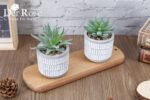 Der Rose Set of 2 Succulents Plants Artificial Fake Cactus Plants for Living Roo... - Image 3