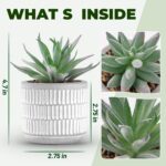 Der Rose Set of 2 Succulents Plants Artificial Fake Cactus Plants for Living Roo... - Image 4