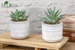 Der Rose Set of 2 Succulents Plants Artificial Fake Cactus Plants for Living Roo... - Image 6