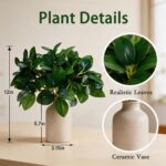 12 Inch Artificial Plant Indoor,Small Fake Plants Eucalyptus Stems With Vase,Fau... - Image 4