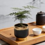 LB Black Gold Ceramic Planters for Indoor Plants, Succulent Plant Pots Ceramic P... - Image 8