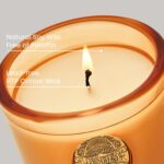 M&SENSE Natural Soy Candle | Pumpkin Apple Pie & Orange | 9.2 oz, 50H Burn Time ... - Image 6