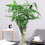 Dicunoy Set of 2 Glass Flower Vase, 9.5" Large Flower Vases for Centerpieces, Mo... - Image 9