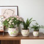 STHIE Ceramic Plant Pots with Drainage Holes and Saucers, Round Flower Pots for ... - Image 3