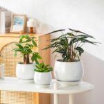 vancasso 3-Pack Ceramic Plant Pots, 3.7/4.8/6.2 Inch Indoor Planters with Saucer... - Image 7