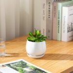 vancasso 3-Pack Ceramic Plant Pots, 3.7/4.8/6.2 Inch Indoor Planters with Saucer... - Image 10