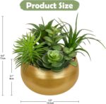 Hollyone Fake Plants Artificial Succulents in Pots Faux Succulent Arrangement Po... - Image 3