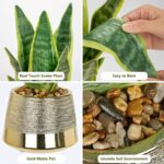 Oairse Artificial Potted Plant, Fake Snake Plant in Gold Pot 16.9 inch Faux Sans... - Image 4