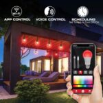Monster 24 Foot Premium Outdoor Smart RGB+IC+WW String Lights, 12 Bulb Color Flo... - Image 3