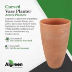 Algreen 43729 Acerra Weather Protected Recycled Composite Vase Planter Pot, Indo... - Image 3