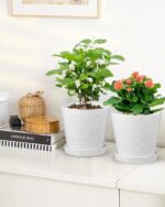 EFISPSS Ceramic Plant Pots, 6 Inch Pots for Indoor Plants, Planters with Drainag... - Image 5