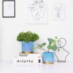 Ceramic Flower Plants Pots Planter with Drainage Hole, 6.0 inch+5.0 Inch. Indoor... - Image 5