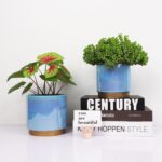 Ceramic Flower Plants Pots Planter with Drainage Hole, 6.0 inch+5.0 Inch. Indoor... - Image 6