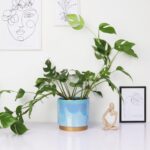 Ceramic Flower Plants Pots Planter with Drainage Hole, 6.0 inch+5.0 Inch. Indoor... - Image 8