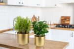 Vixdonos Large Gold Planters Metal Aloe Brass-Tone Plant Pots Indoor Decorative ... - Image 5