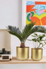 Vixdonos Large Gold Planters Metal Aloe Brass-Tone Plant Pots Indoor Decorative ... - Image 6