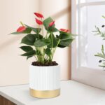 Set of 3 Cement Planter Pots with Drainage Hole,4 inch Plant Pots for Plants Ind... - Image 5