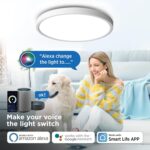 TALOYA Smart Ceiling Light Flush Mount LED WiFi,Compatible with Alexa Google Hom... - Image 6