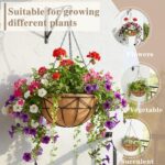 EIMQUVW 2 Pack Hanging Planters with Coconut Liner Metal Outdoor Hanging Baskets... - Image 3