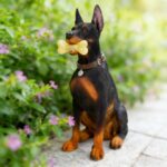 Doberman Solar Garden Statue - Outdoor Yard, Lawn, Patio Dog Decor - Unique Birt... - Image 6