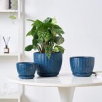 STHIE 4/5/6 Inches Ceramic Plant Pots with Drainage Holes and Saucers, Round Flo... - Image 5