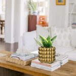 5 Inch Ceramic Planter Pot for Indoor Plants with Drainage Hole Bubble Flower Pl... - Image 3