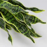 Hollyone Artificial Snake Plant Potted Faux Sansevieria Trifasciata Plants, 16.5... - Image 3