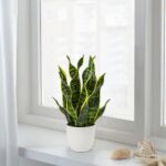 Hollyone Artificial Snake Plant Potted Faux Sansevieria Trifasciata Plants, 16.5... - Image 6