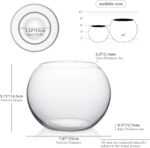 WGVI Bowl Glass Vase, Diameter 8", Height 6", Open Width 5", (Multiple Sizes Cho... - Image 3