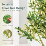 Olive Tree with Realistic Branches - Faux Olive Trees Indoor for Living Room, Co... - Image 4