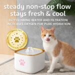 Cat Water Fountain, Water Fountain for Dogs, Indoor Water Dispenser, 3L Automati... - Image 4