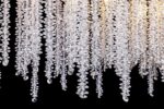 TOCHIC Modern Crystal Chandelier for Dining Room, Luxury Gold Chandeliers Lighti... - Image 6