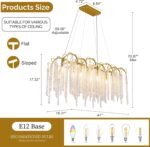TOCHIC Modern Crystal Chandelier for Dining Room, Luxury Gold Chandeliers Lighti... - Image 9