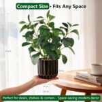 florisso Artificial Succulents with Fig Leaf Greenery in Black & Gold Planter, F... - Image 5