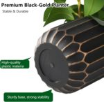 florisso Artificial Succulents with Fig Leaf Greenery in Black & Gold Planter, F... - Image 11