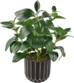 florisso Artificial Succulents with Fig Leaf Greenery in Black & Gold Planter, F... - Image 12