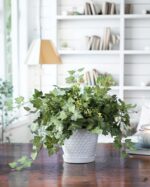Petals Artificial Mini English Ivy Silk Plant in Ceramic Pot - Image 3