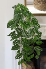 Large Fake Hanging Plants in Pot with Hook, 37" Artificial Hanging Monstera Albo... - Image 6